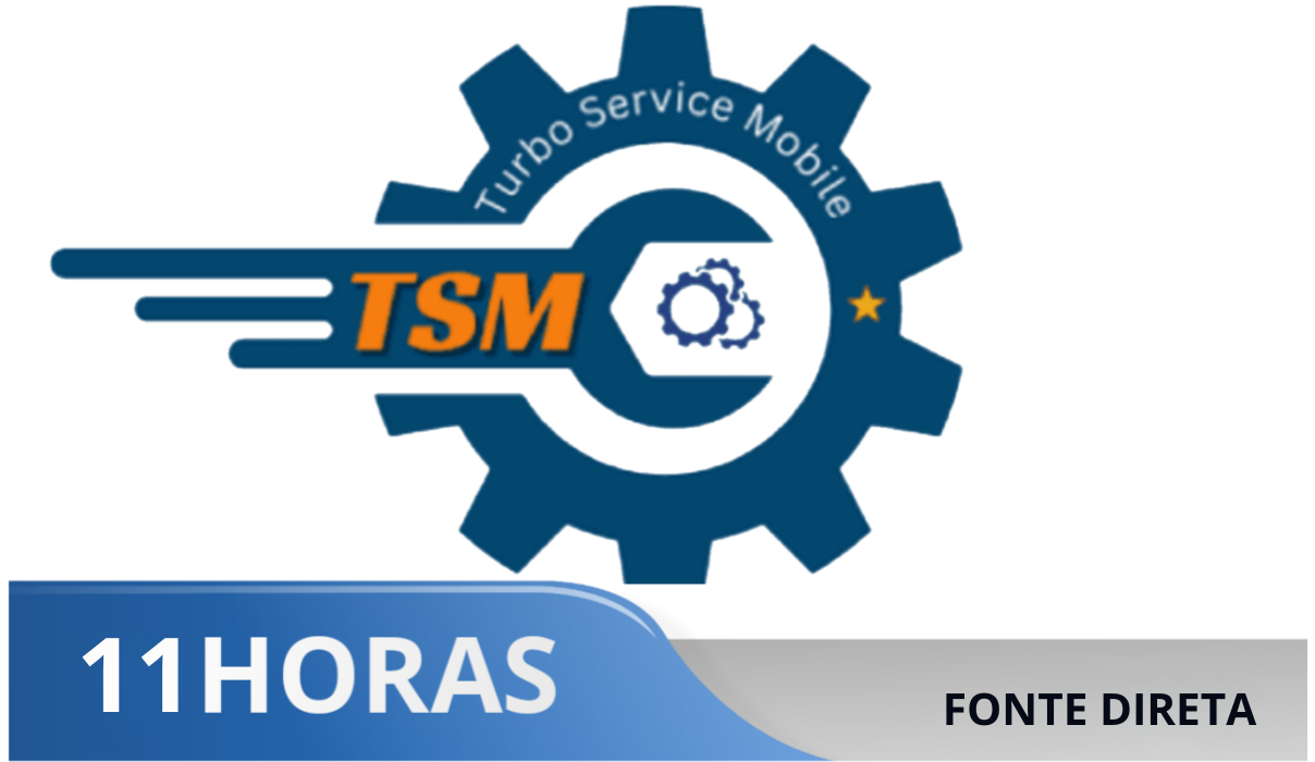 TSM TOOL Pro - Aluguel 11Hrs (Login + Senha)  ||Fonte Direta||