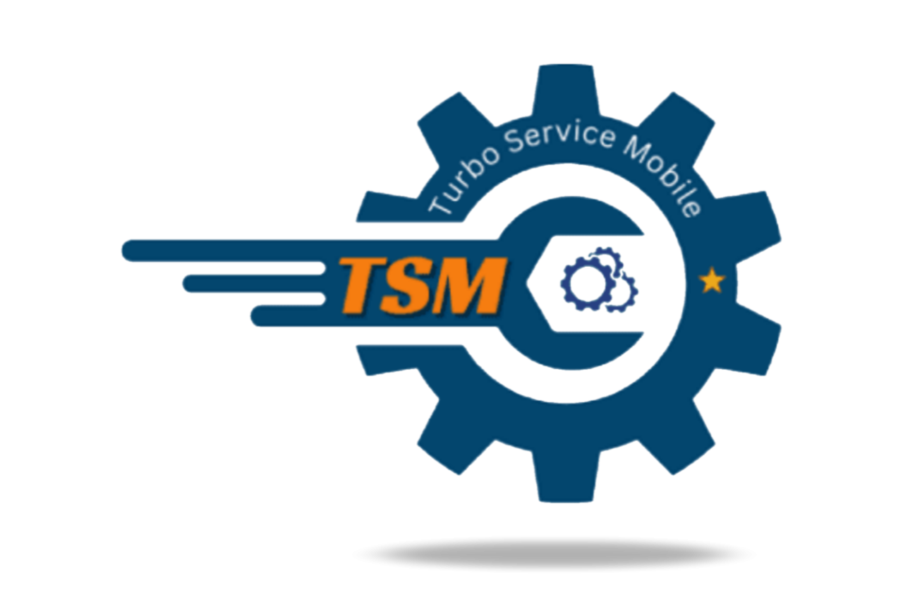 TSM-TOOL Pro -  Xiaomi Auth Server Créditos